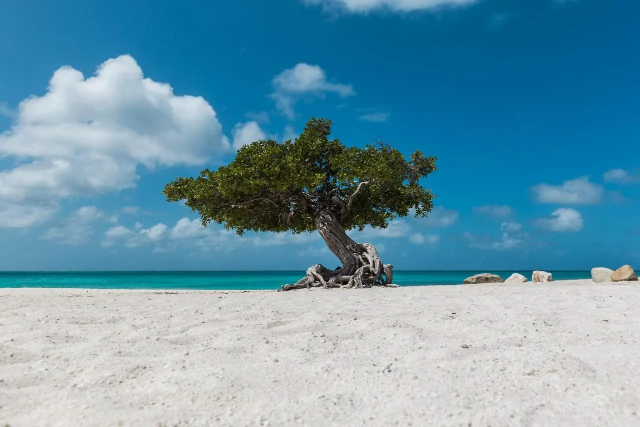 Vila Ruby 15 Palm Beach 0*,  Aruba